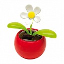 Flori promotionale solare decorative - 0410201
