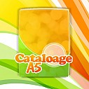 Cataloage A5 portret - preturi si oferte de tipar digital sau offset pentru cataloage A5