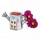 Ghivece de flori promotionale cu seminte de floare - Cosmos 0901013 Ghivece de flori promotionale cu seminte de floare - Cosmos 0901013