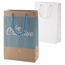 Pungi promotionale de cadou, din carton cu burduf de 10 cm - AP718101 Pungi promotionale de cadou, din carton cu burduf de 10 cm - AP718101