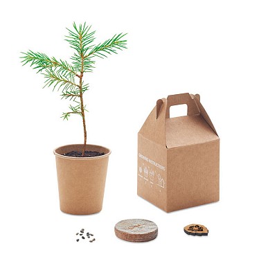 Ghiveci biodegradabil cu seminte de pin - MO6228 ghivece promotionale cu seminte de pin MO6228